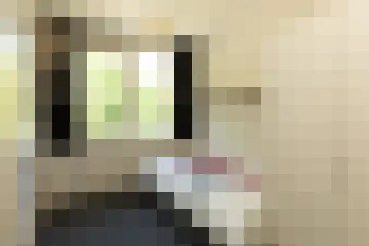 Comeniushof 92 Hilversum thumbnail 19