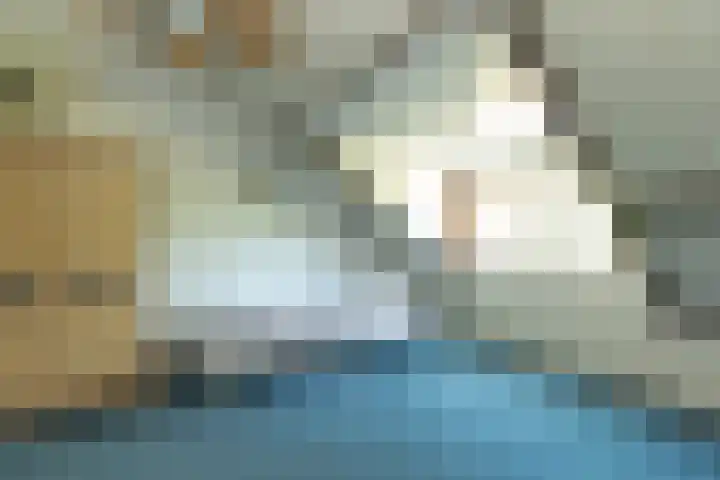 Comeniushof 92 Hilversum thumbnail 21