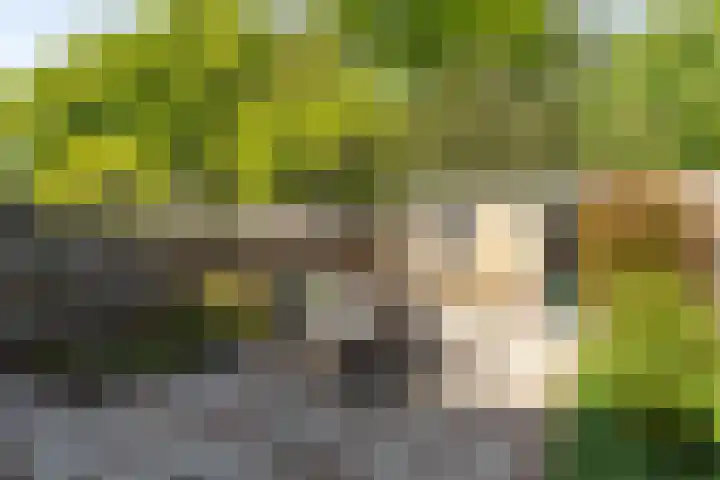 Comeniushof 92 Hilversum thumbnail 26