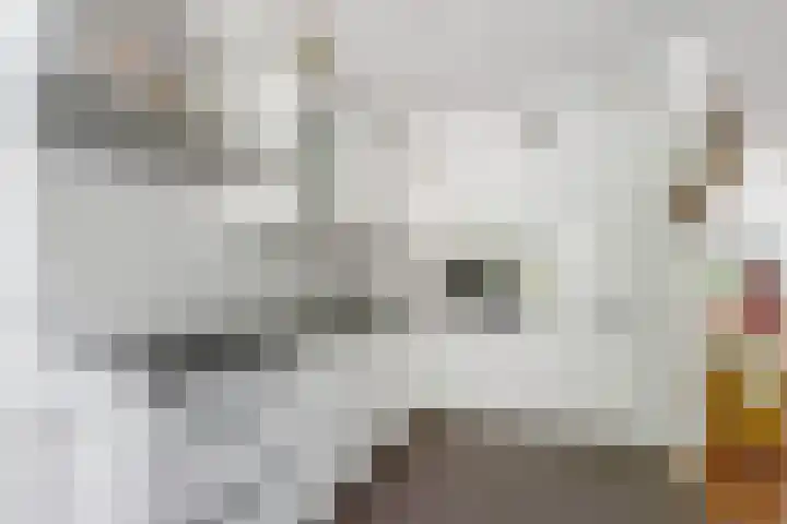 Comeniushof 98 Hilversum thumbnail 11