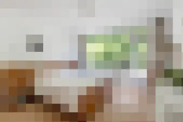 Comeniushof 98 Hilversum thumbnail 13
