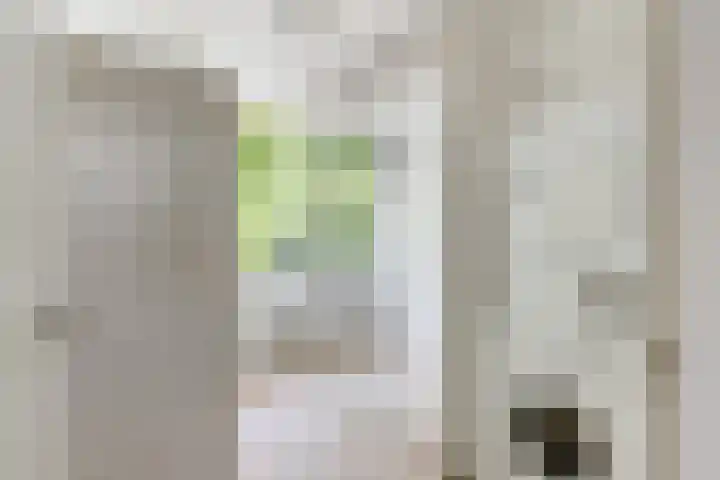 Comeniushof 98 Hilversum thumbnail 14