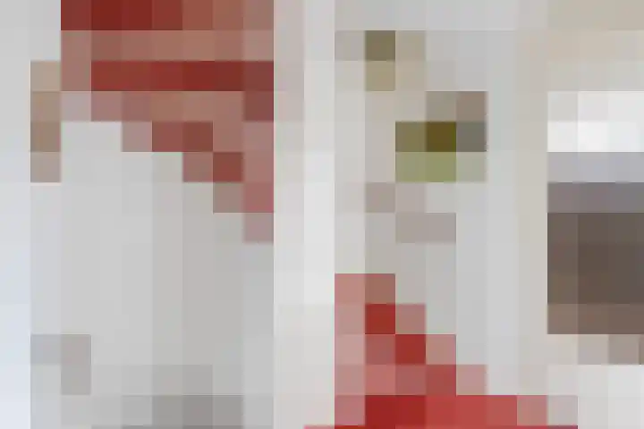 Comeniushof 98 Hilversum thumbnail 18