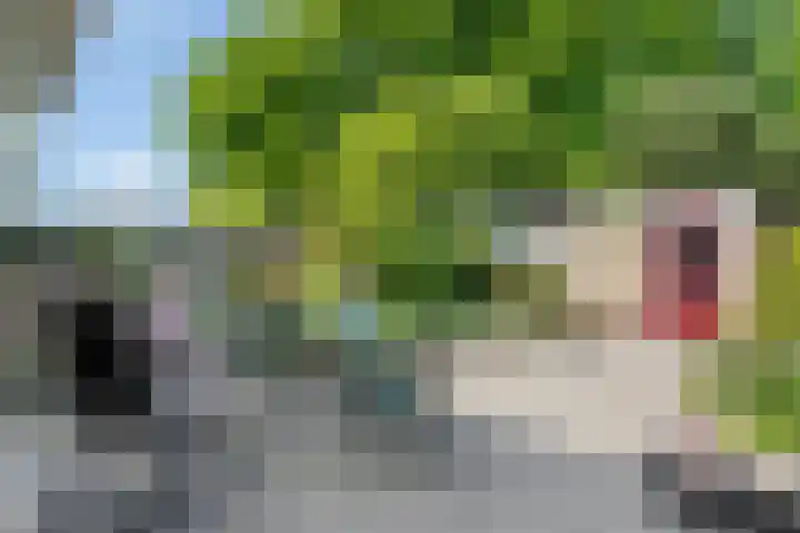 Comeniushof 98 Hilversum thumbnail 20