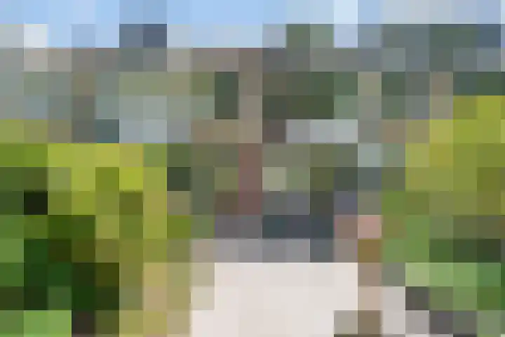 Comeniushof 98 Hilversum thumbnail 21