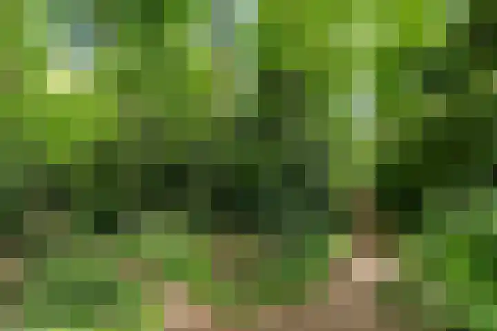Comeniushof 98 Hilversum thumbnail 22