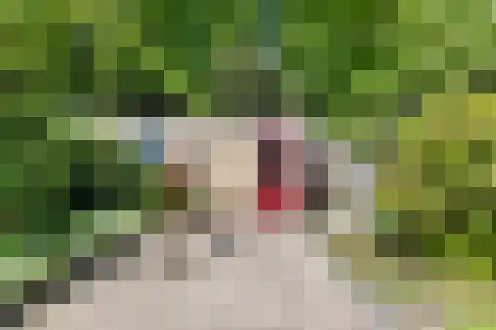 Comeniushof 98 Hilversum thumbnail 4
