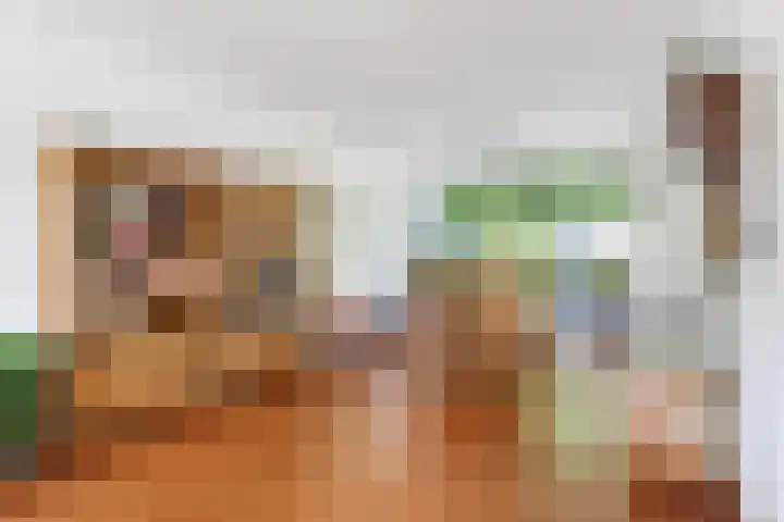 Comeniushof 98 Hilversum thumbnail 7