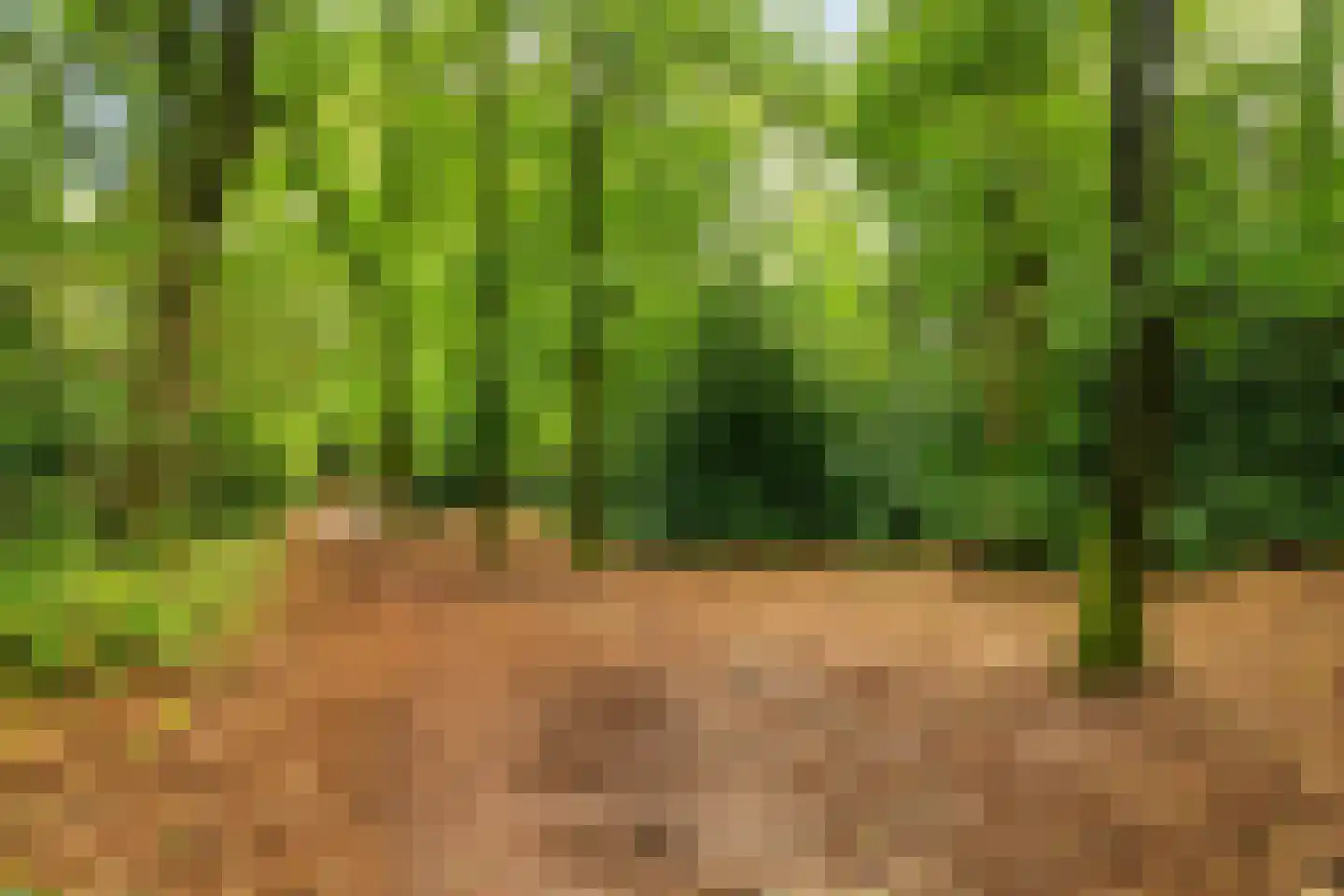Comeniuslaan 119 Zeist thumbnail 4