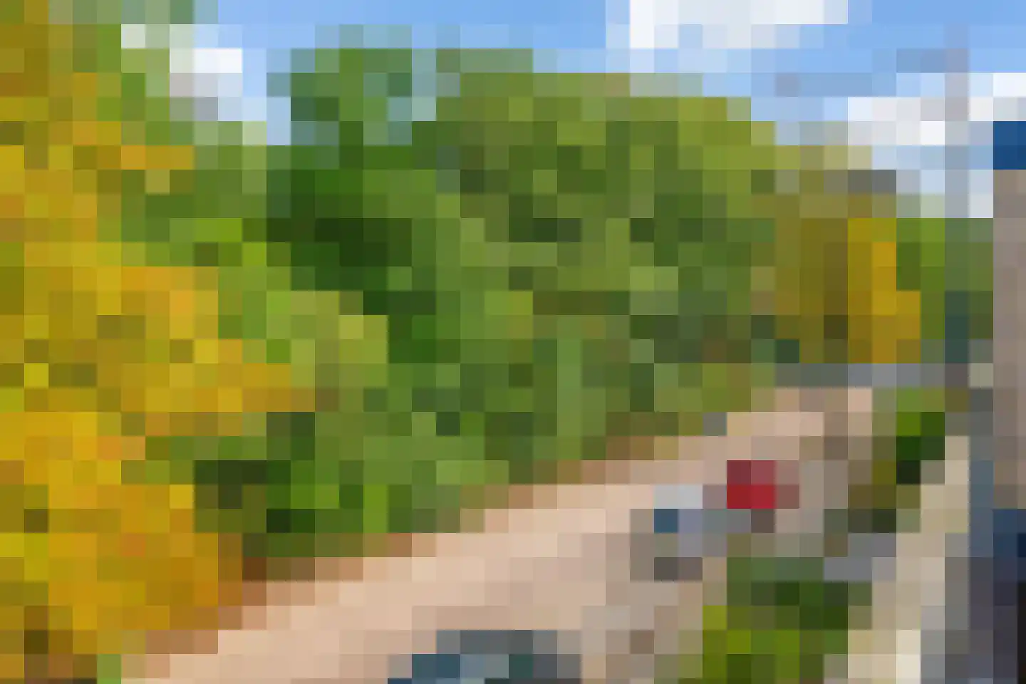 Comeniuslaan 119 Zeist thumbnail 40