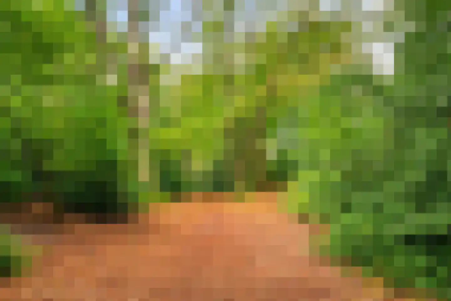 Comeniuslaan 119 Zeist thumbnail 5