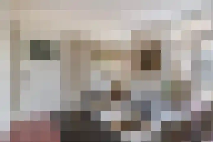 Comeniuslaan 20 Naarden thumbnail 20