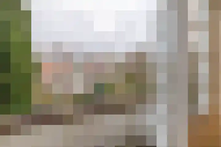 Comeniuslaan 20 Naarden thumbnail 38