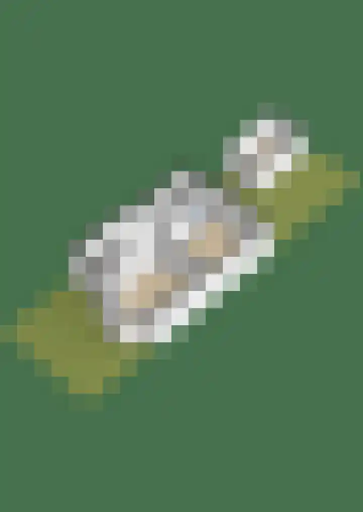 Comeniuslaan 20 Naarden thumbnail 66