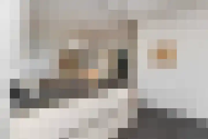 Comeniuslaan 28 Naarden thumbnail 17
