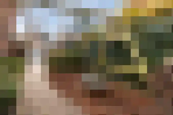 Comeniuslaan 28 Naarden thumbnail 30