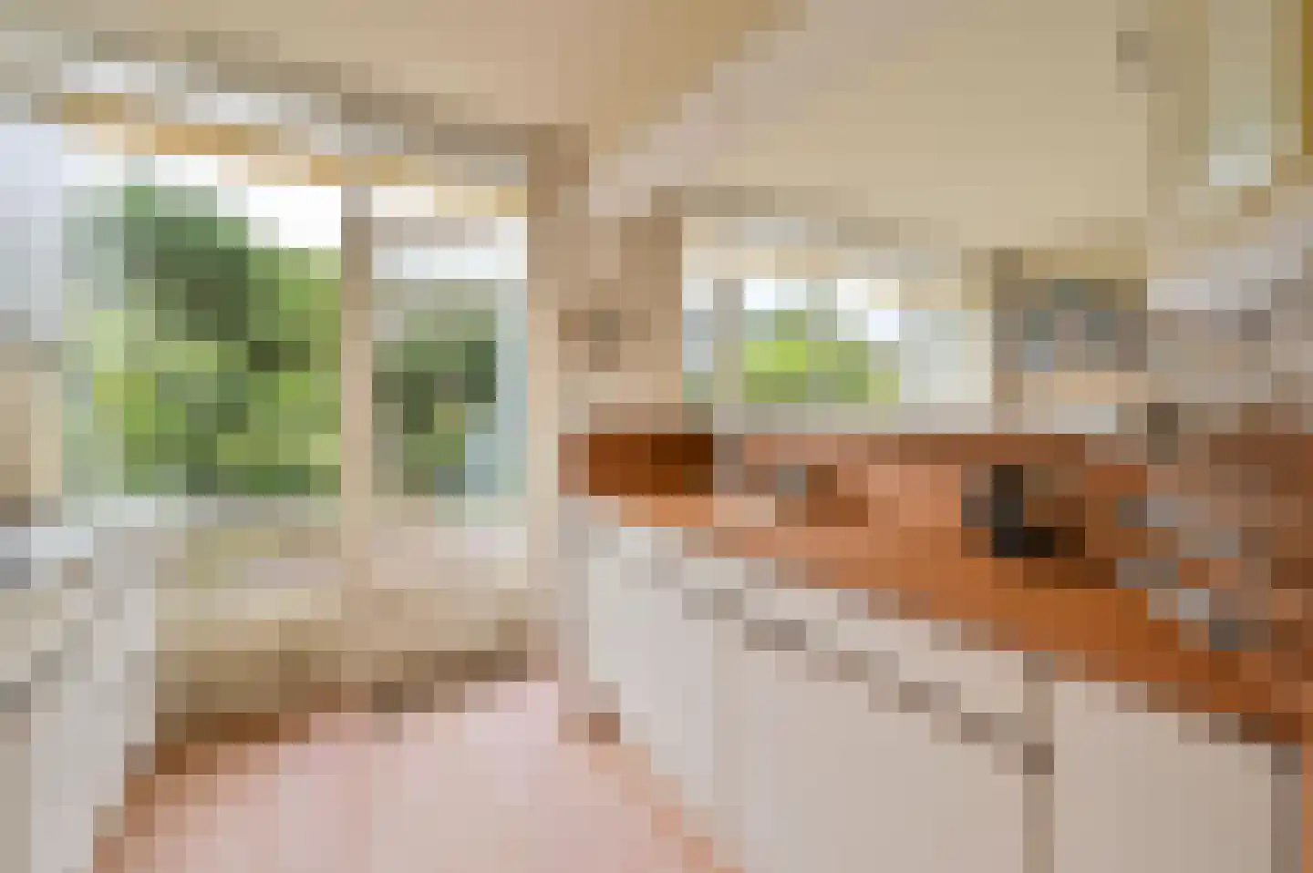 Comeniuslaan 3 Zeist thumbnail 10
