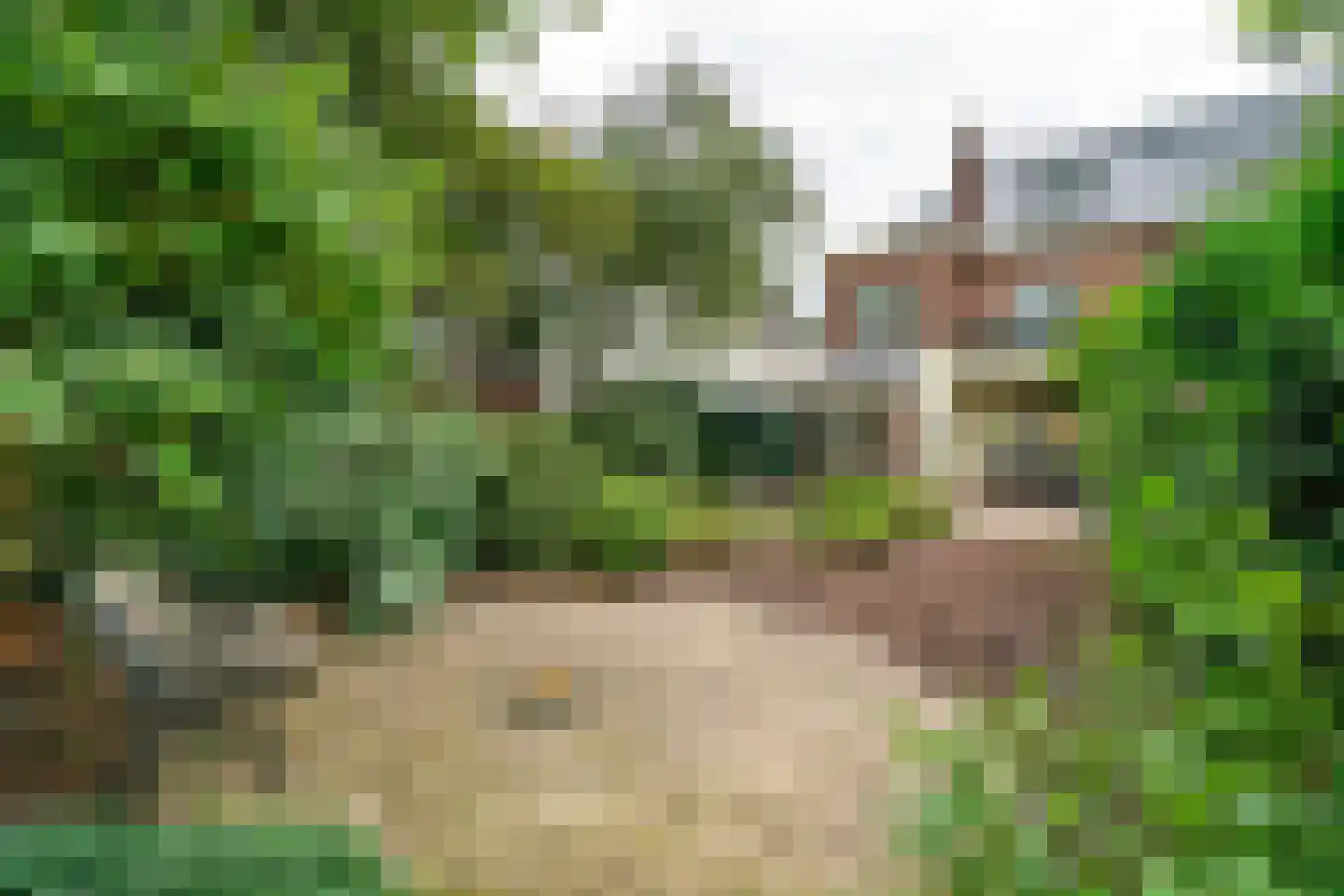 Comeniuslaan 45 Bussum thumbnail 20