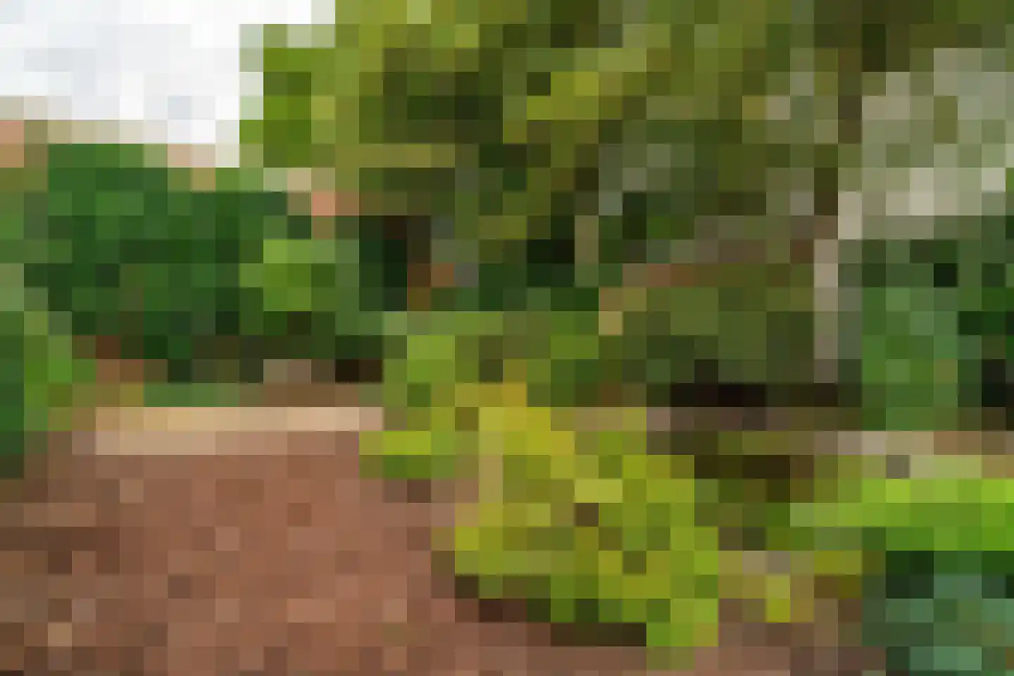 Comeniuslaan 45 Bussum thumbnail 21