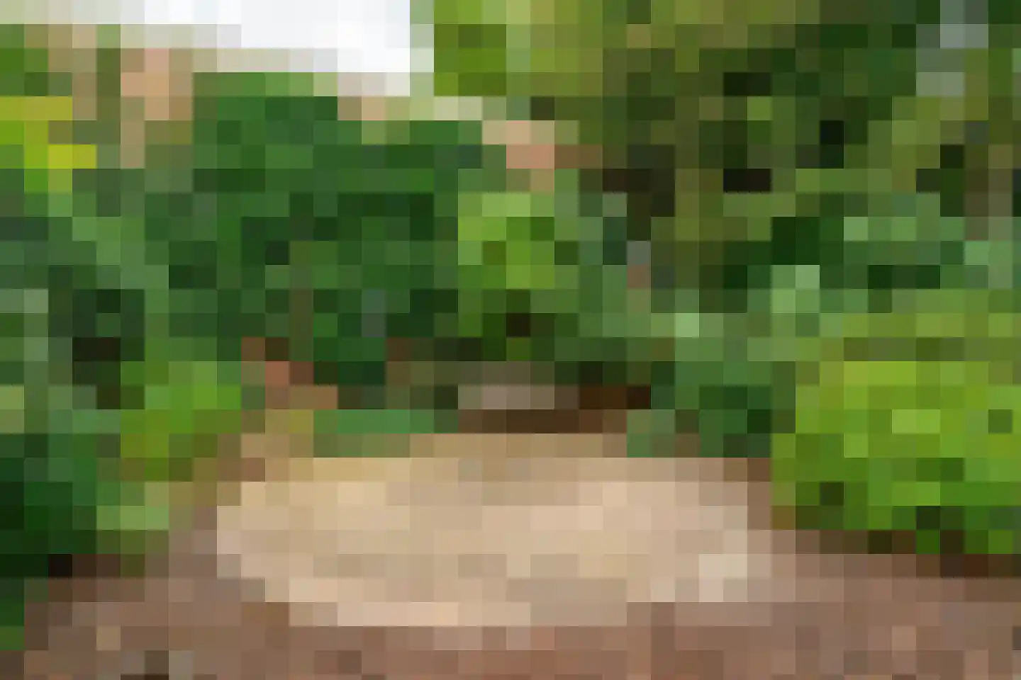 Comeniuslaan 45 Bussum thumbnail 22