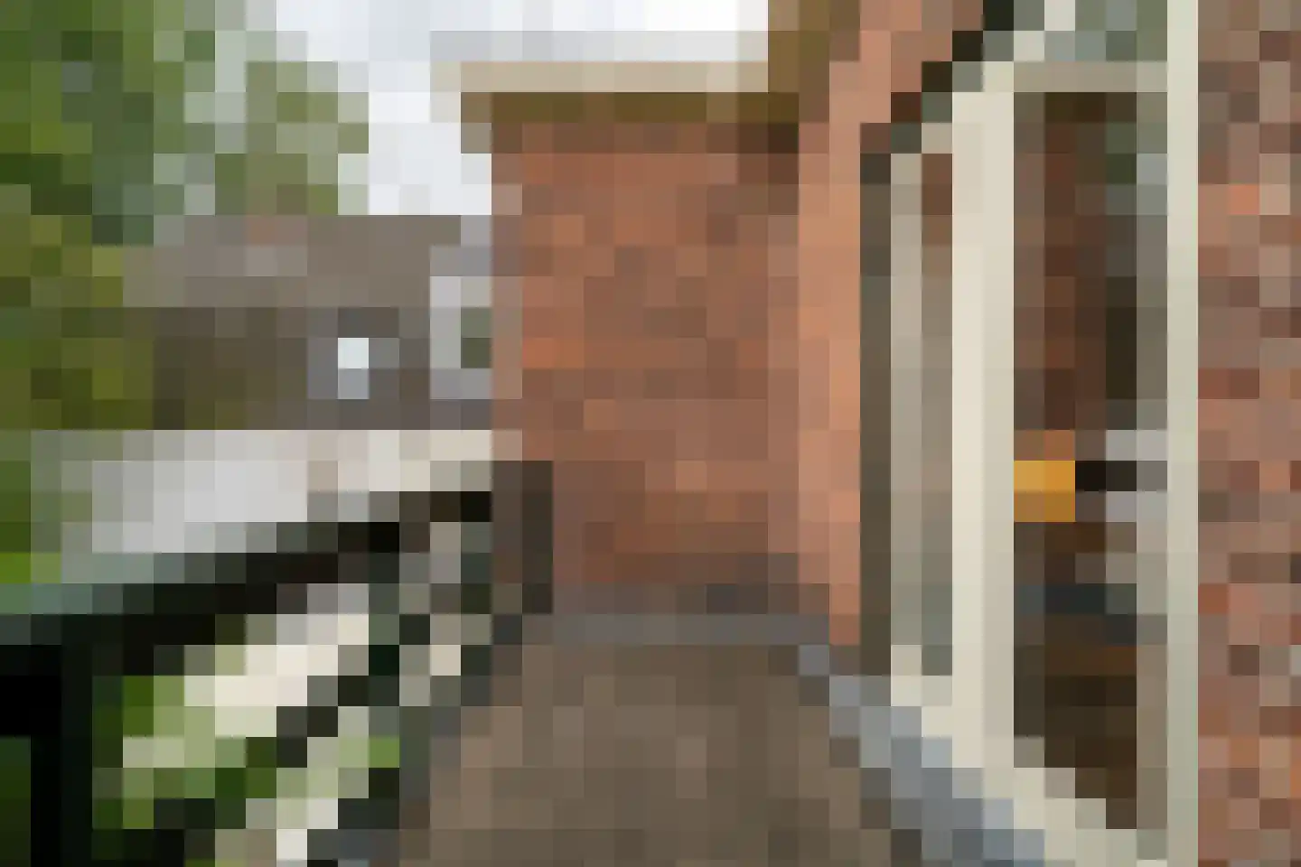 Comeniuslaan 45 Bussum thumbnail 39