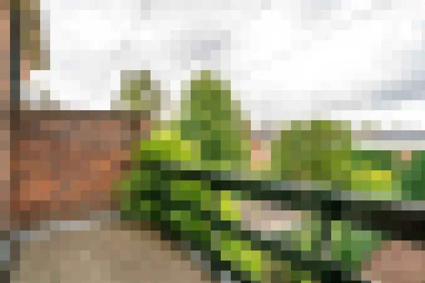 Comeniuslaan 45 Bussum thumbnail 40