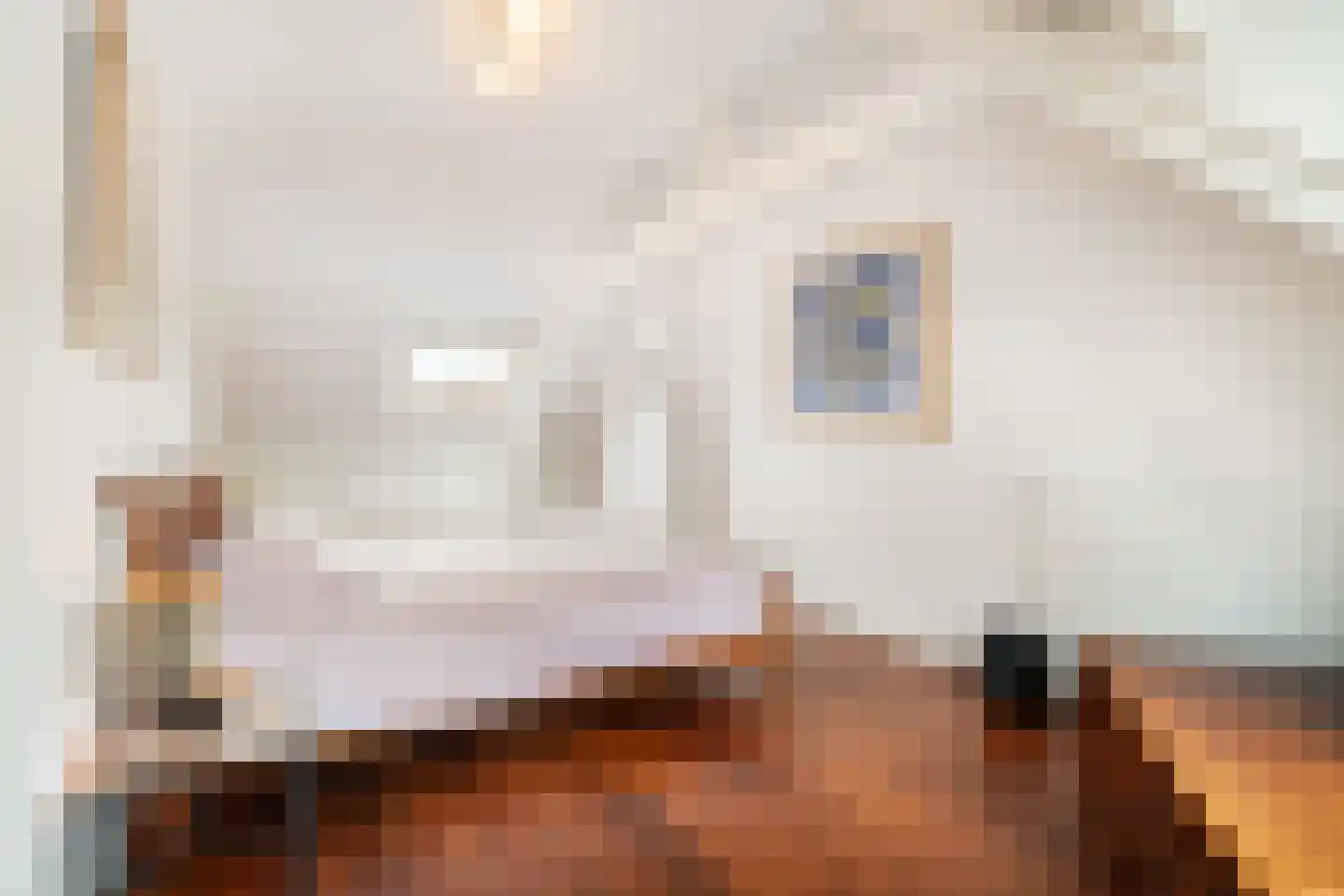 Comeniuslaan 45 Bussum thumbnail 46