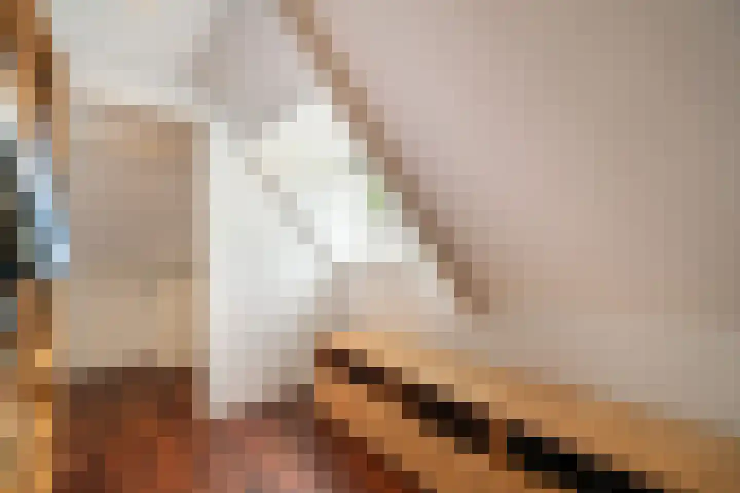 Comeniuslaan 45 Bussum thumbnail 48