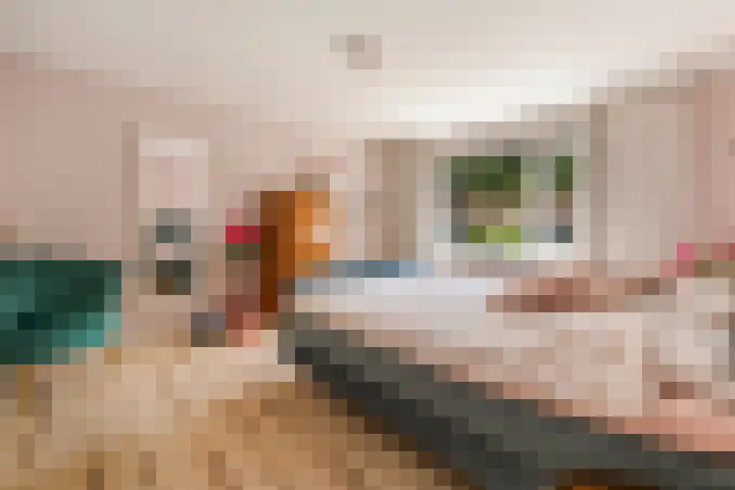 Comes Oolenstraat 17 Hilversum thumbnail 10