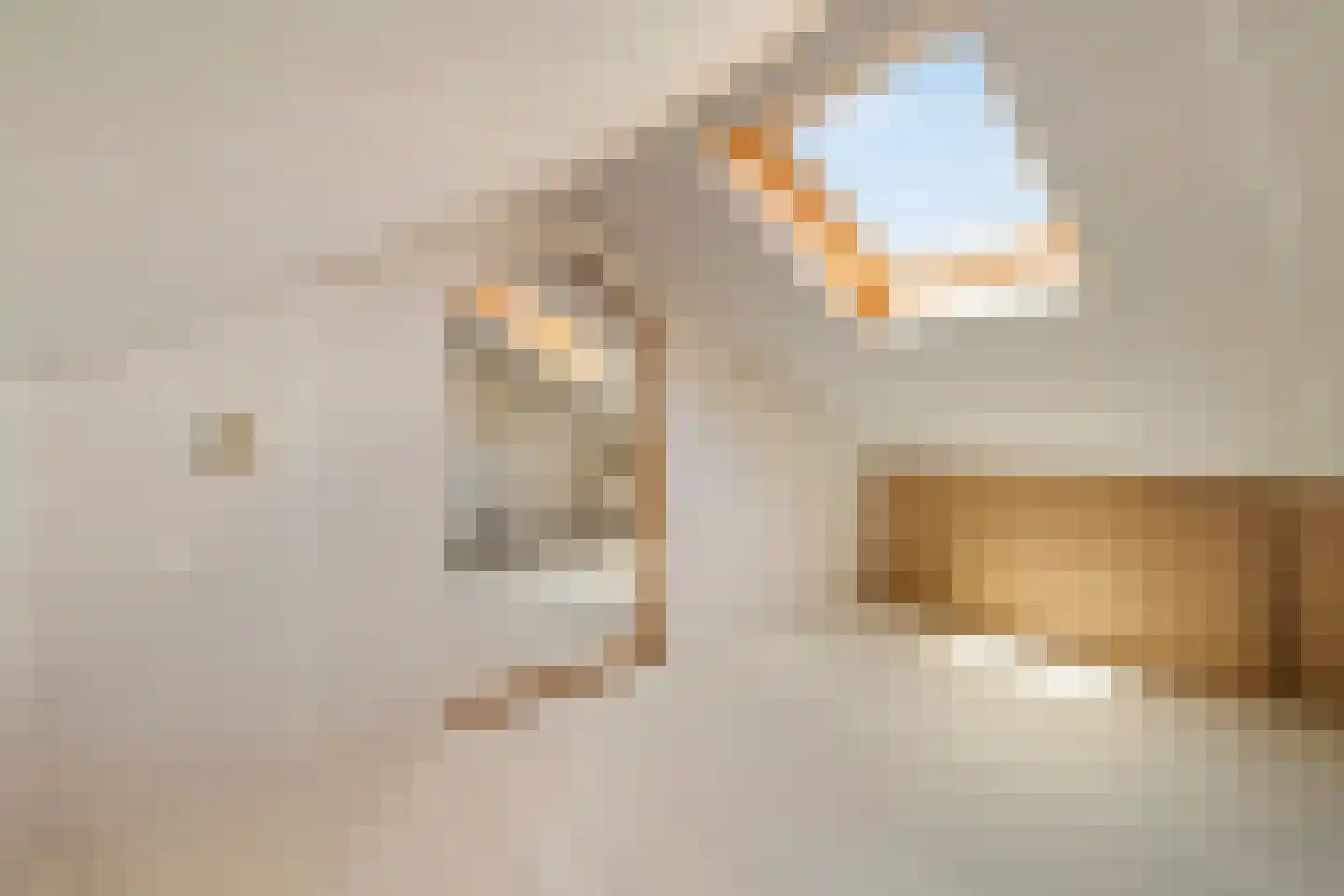 Comes Oolenstraat 17 Hilversum thumbnail 18