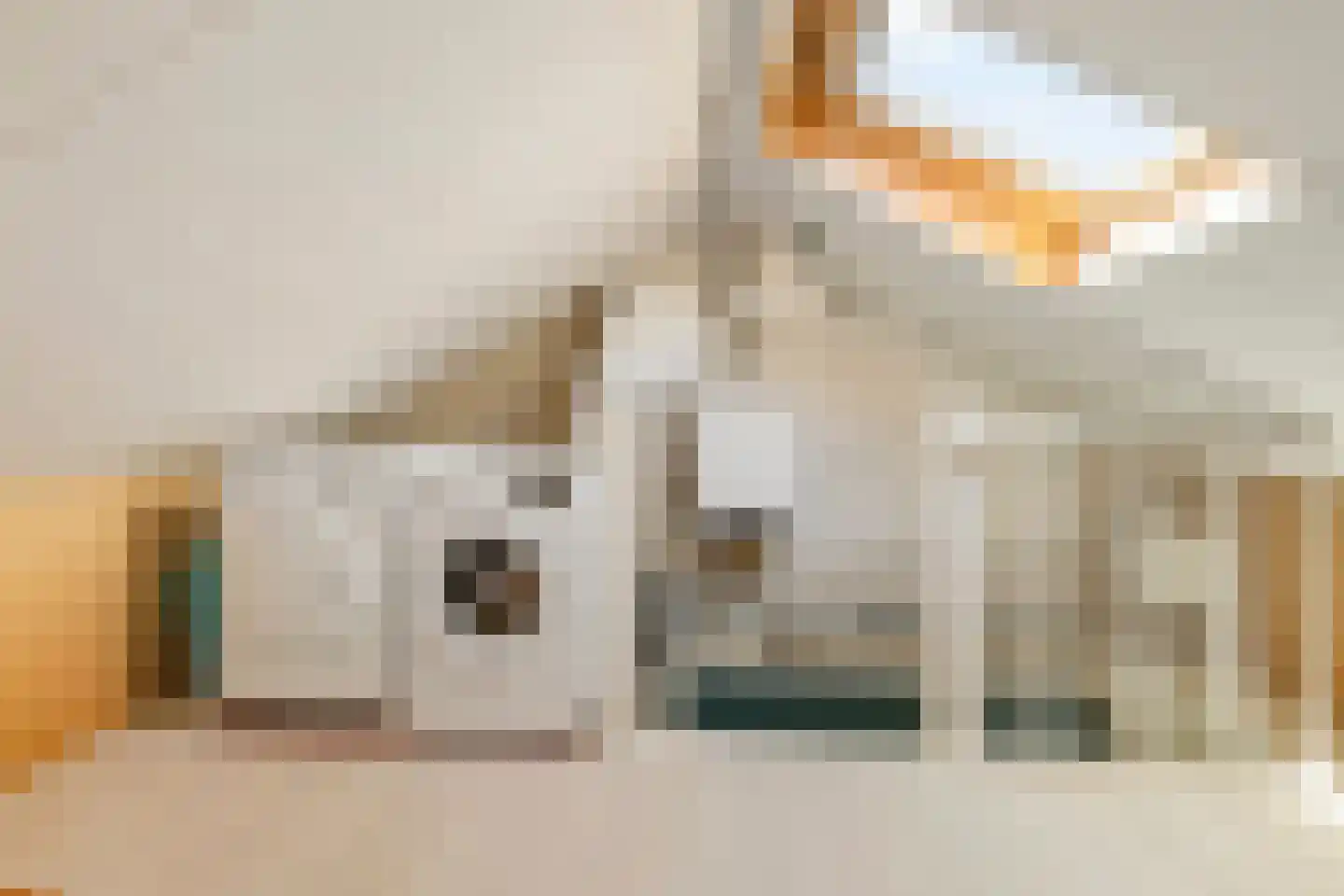 Comes Oolenstraat 17 Hilversum thumbnail 19