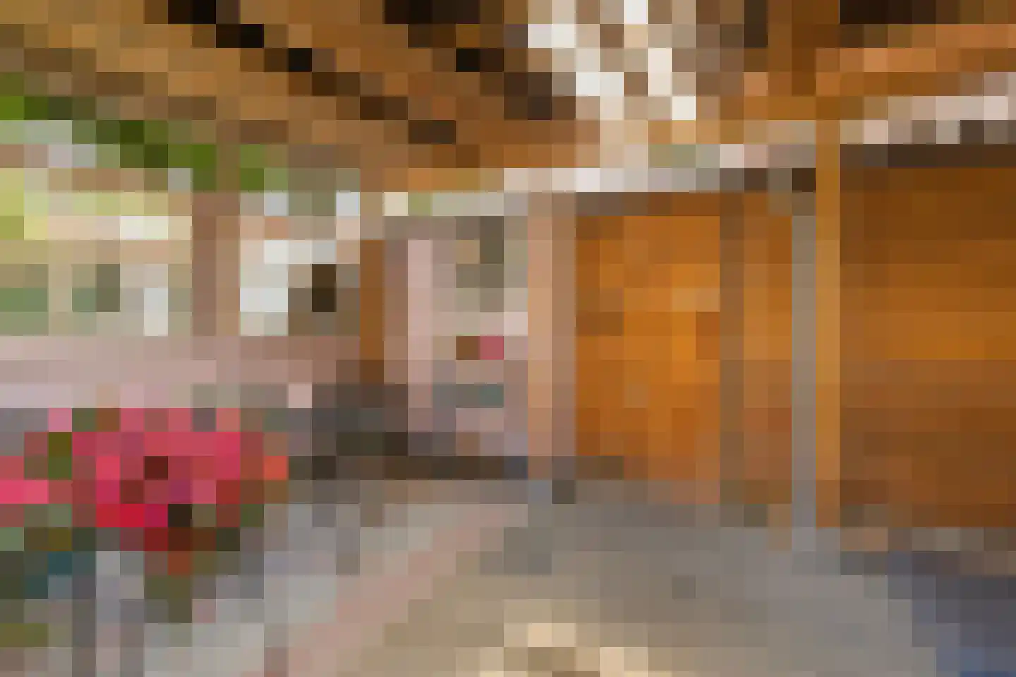 Comes Oolenstraat 17 Hilversum thumbnail 24