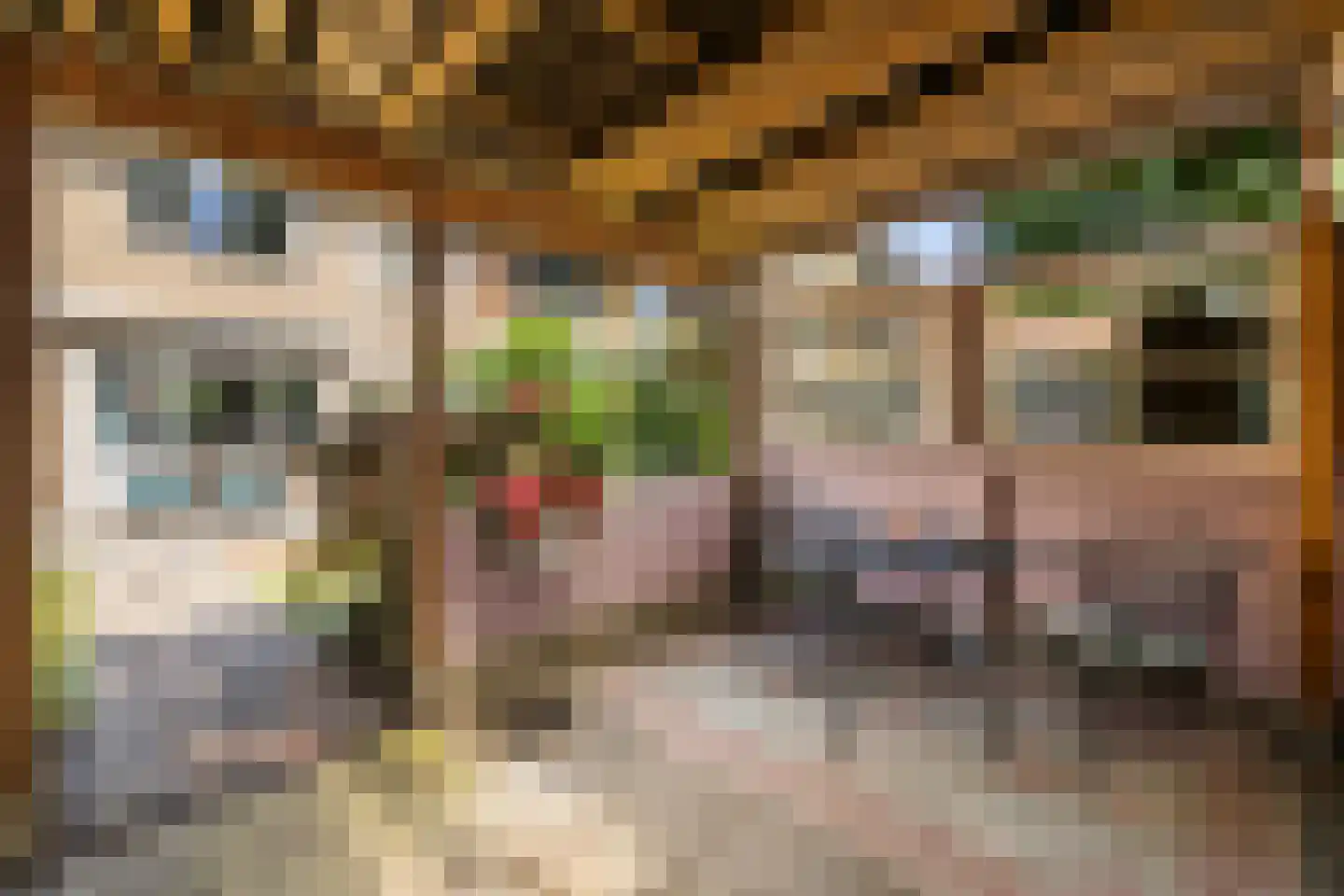 Comes Oolenstraat 17 Hilversum thumbnail 25