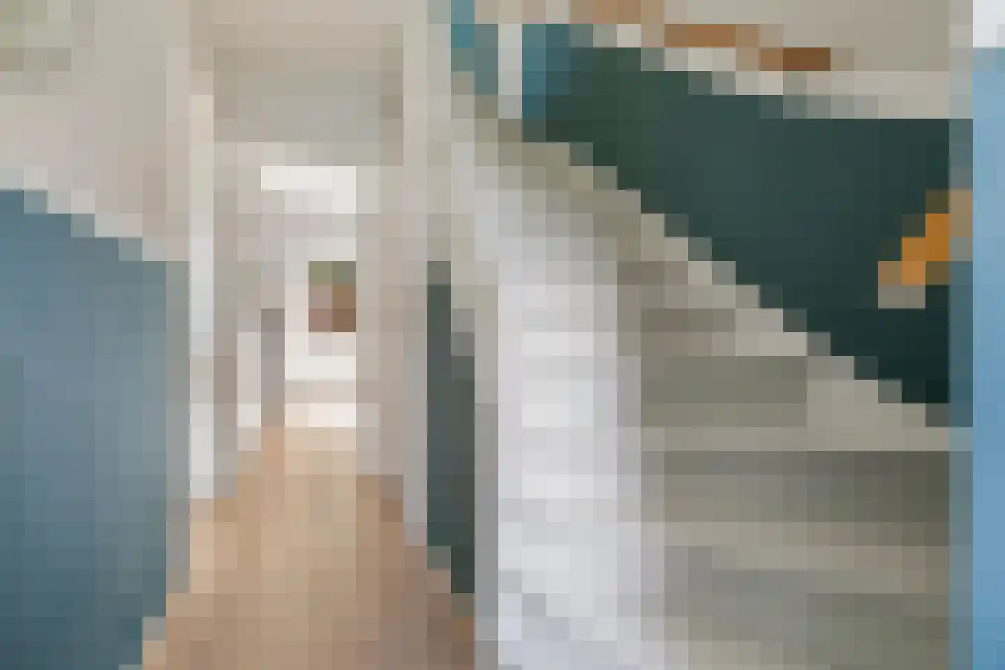Comes Oolenstraat 17 Hilversum thumbnail 9