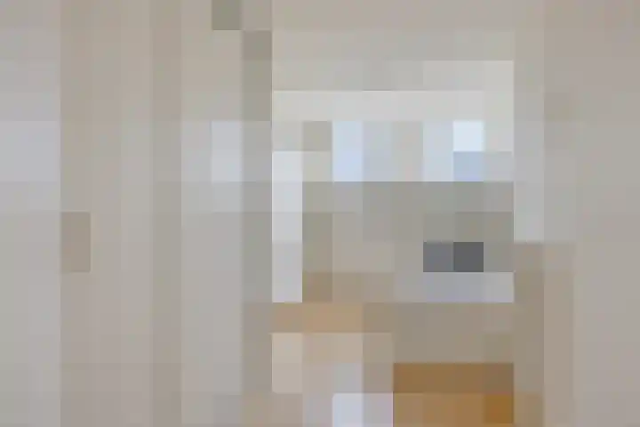Comestraat 1 Sint Anthonis thumbnail 20