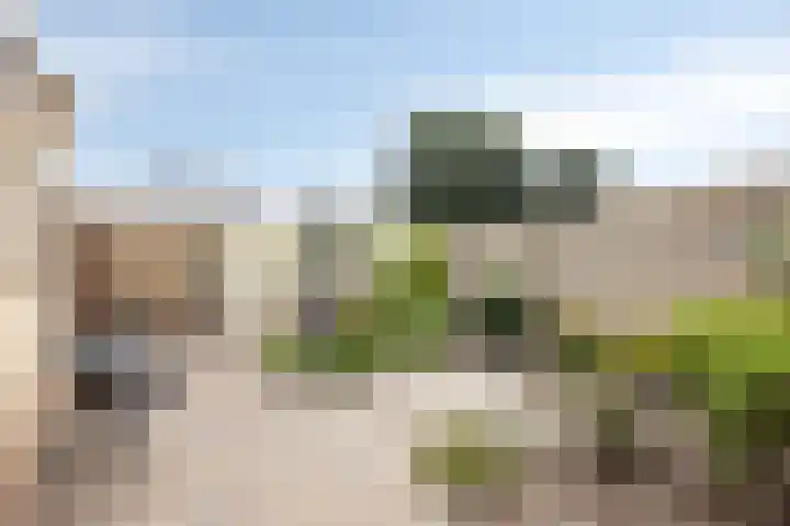 Comestraat 1 Sint Anthonis thumbnail 23
