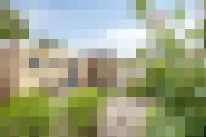 Comestraat 1 Sint Anthonis thumbnail 24