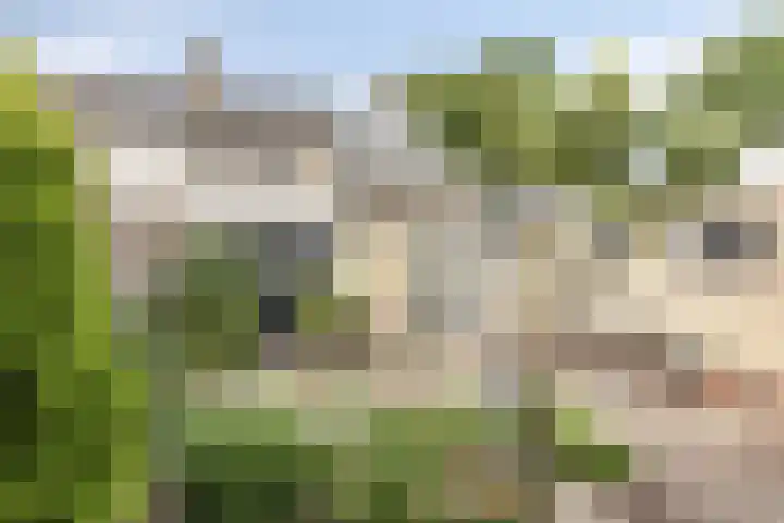 Comestraat 1 Sint Anthonis thumbnail 27