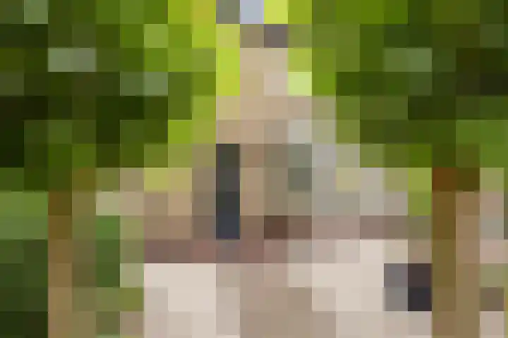 Comestraat 1 Sint Anthonis thumbnail 4