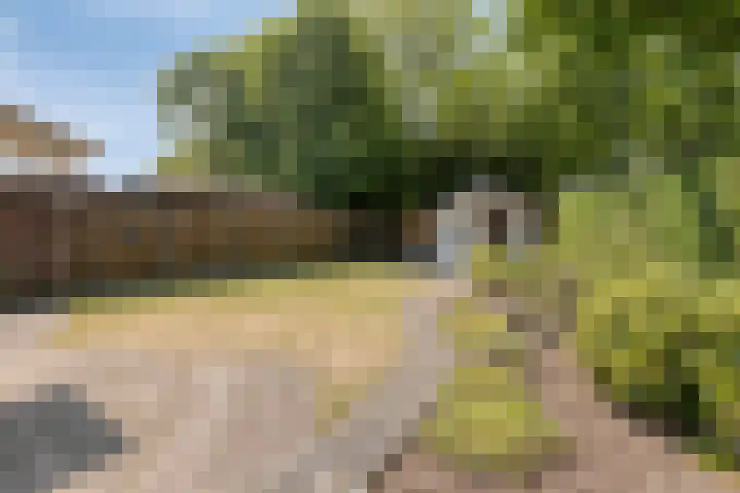 Comestraat 2 Sint Anthonis thumbnail 20