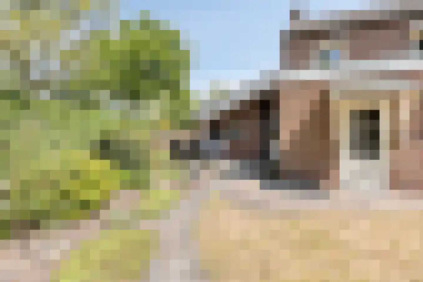 Comestraat 2 Sint Anthonis thumbnail 21