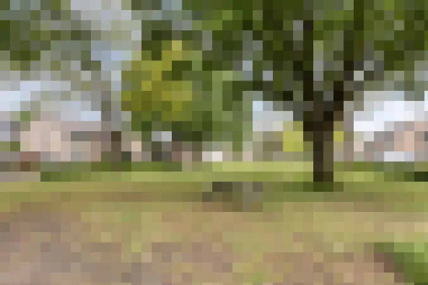 Comestraat 2 Sint Anthonis thumbnail 24