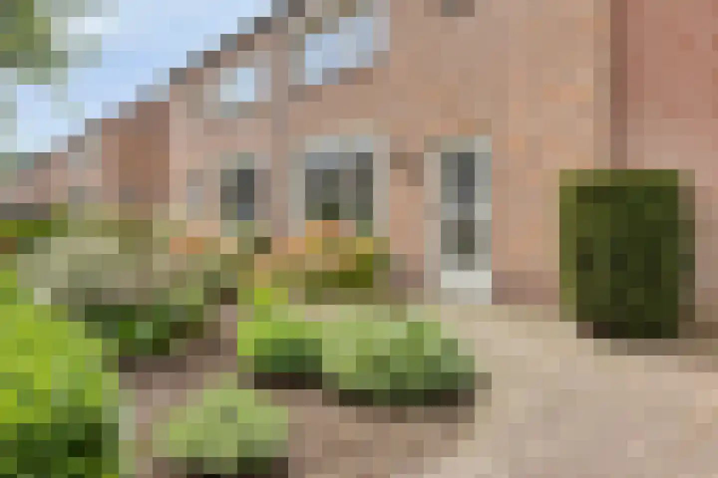 Comestraat 2 Sint Anthonis thumbnail 4