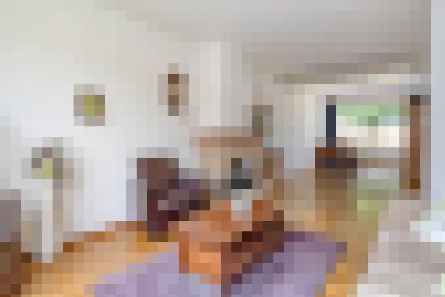 Comestraat 2 Sint Anthonis thumbnail 7