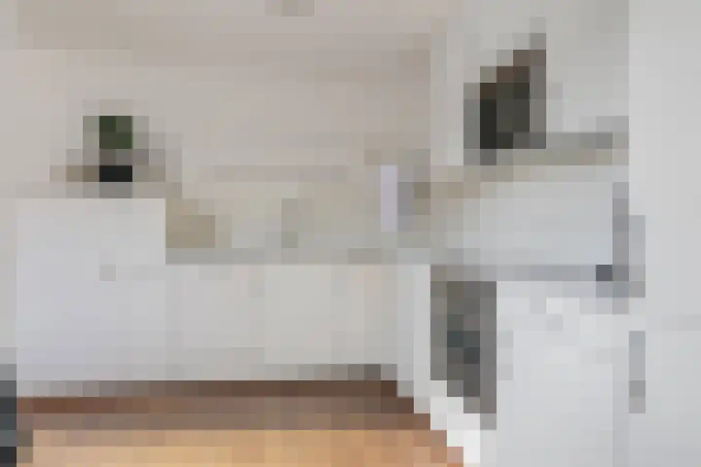 Comm d Vos v Steenwijklaan 36 Meppel thumbnail 13