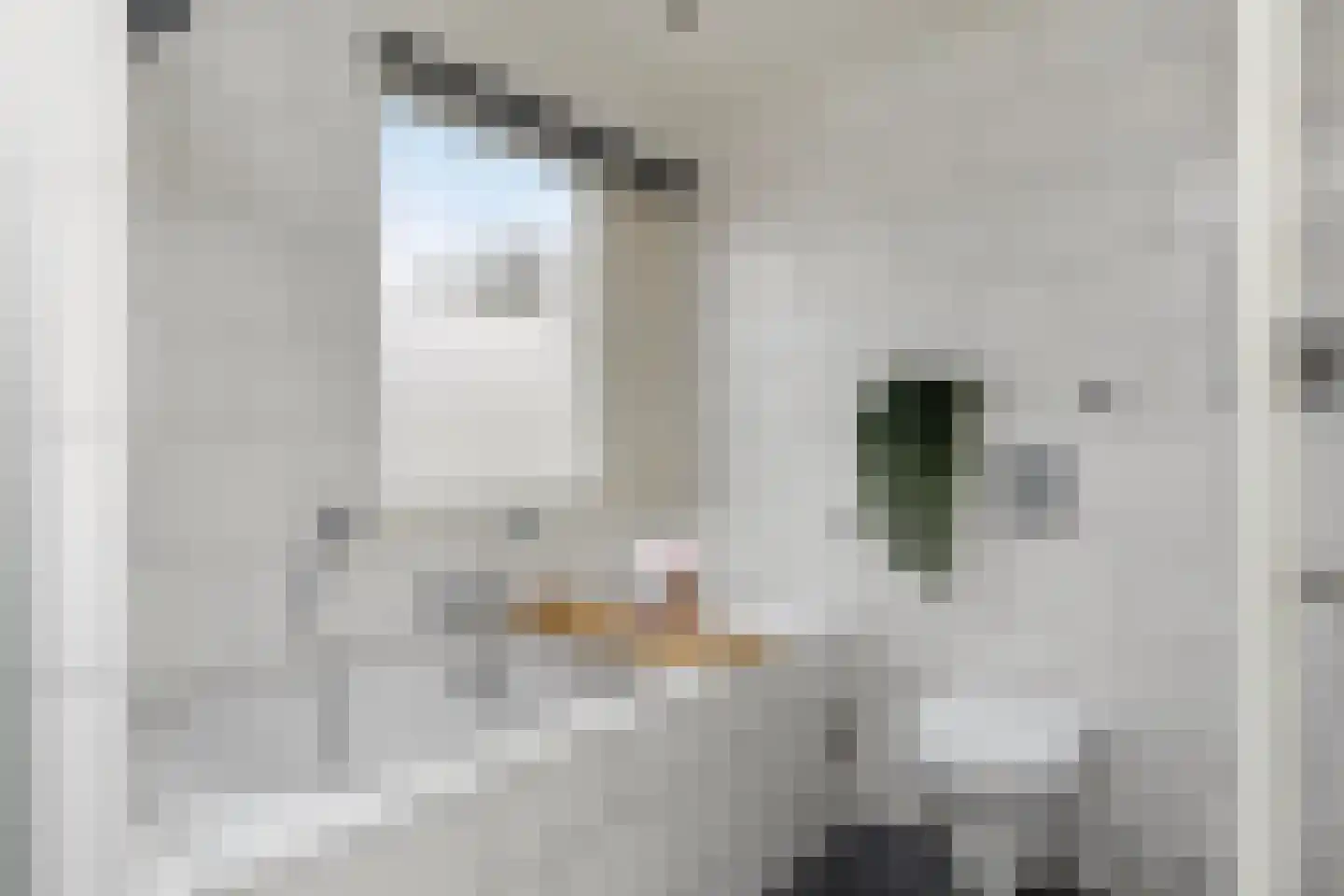 Comm d Vos v Steenwijklaan 36 Meppel thumbnail 23