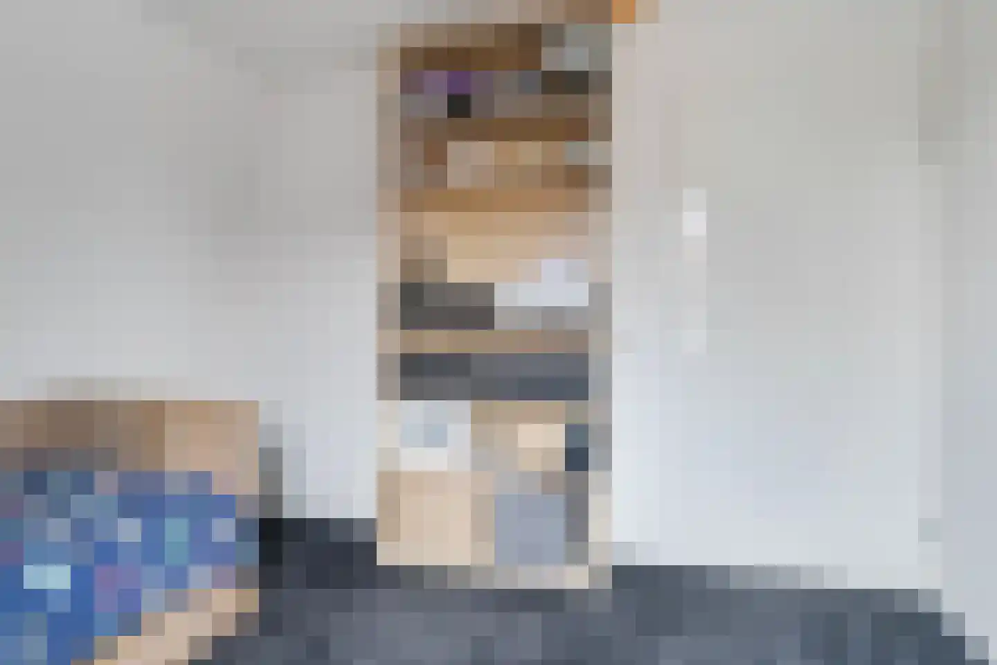Comm d Vos v Steenwijklaan 36 Meppel thumbnail 25