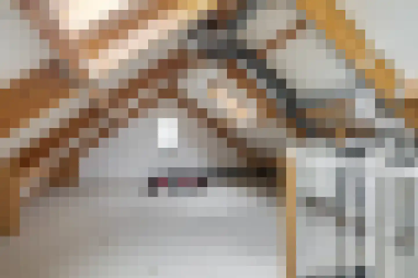 Comm d Vos v Steenwijklaan 36 Meppel thumbnail 27