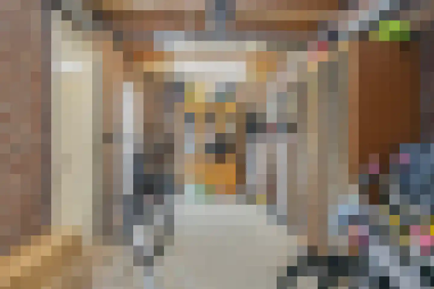 Comm d Vos v Steenwijklaan 36 Meppel thumbnail 29