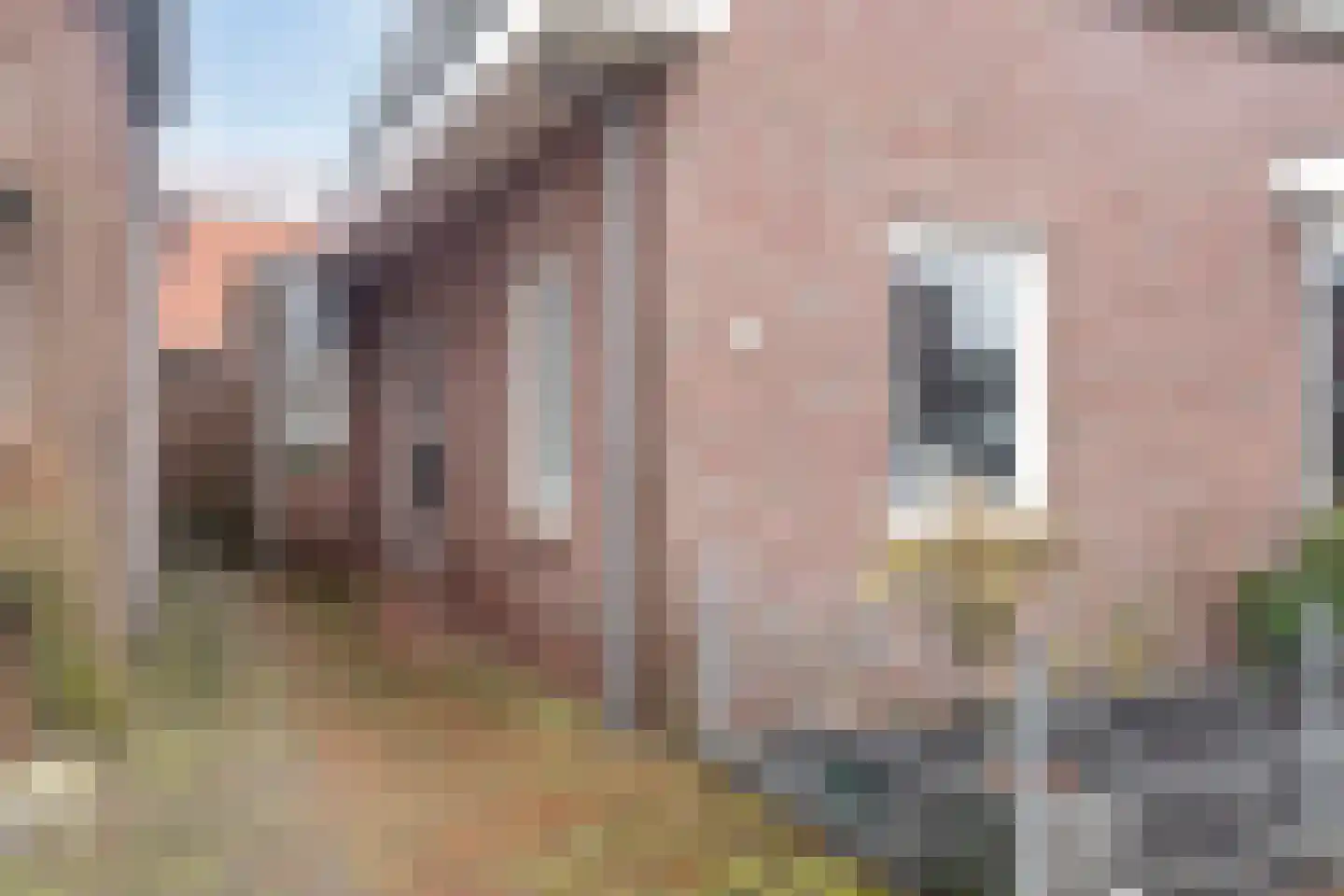 Comm d Vos v Steenwijklaan 36 Meppel thumbnail 31